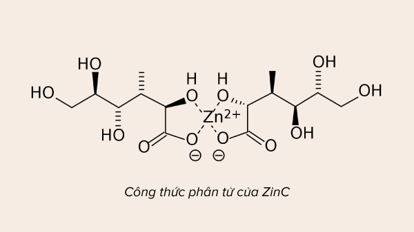 Công thức phân tử của ZinC 